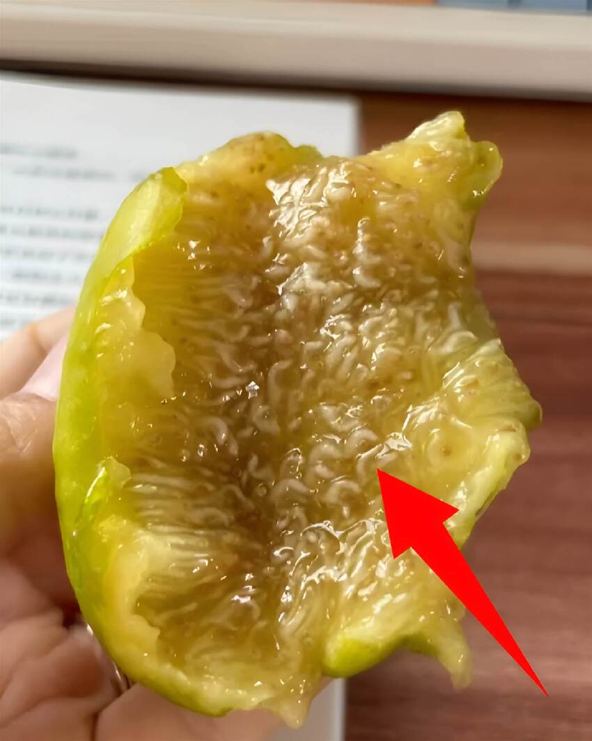 室友遞來陌生水果，吃到一半發現全是「密密麻麻小蟲」怒而找她算賬，聽完「她的解釋」我羞愧難當